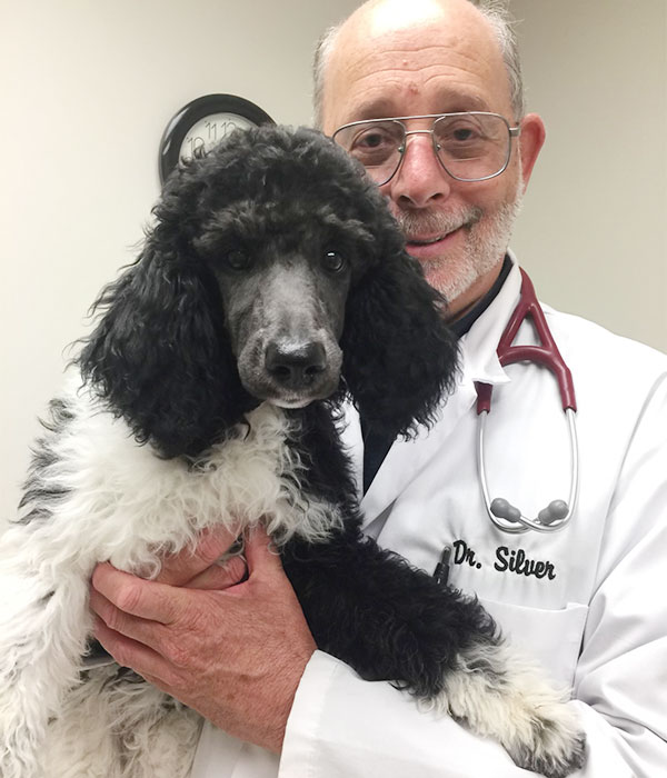 Dr David Silver holding dog