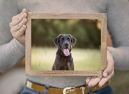 woman holding photograph of dog